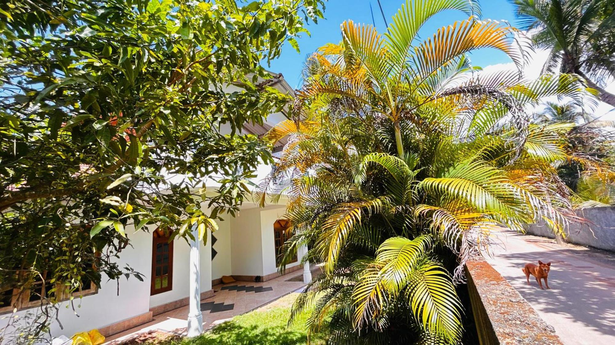 Kida'S Guest House Ματάρα Εξωτερικό φωτογραφία